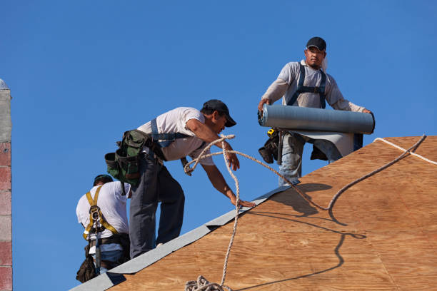 Quick and Trustworthy Emergency Roof Repair Services in West Blocton, AL