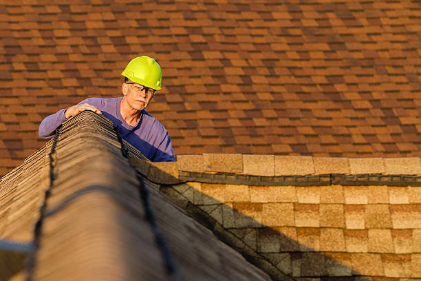 Best Roof Maintenance Services  in West Blocton, AL